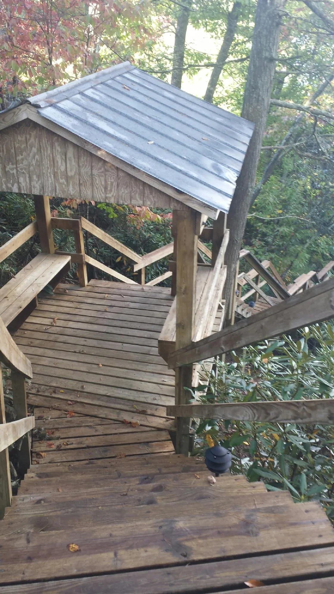 Metal roofed shelter over wooden steps on a wooded walkway — Skylight Repair & Installation work by our crew in Good Thunder